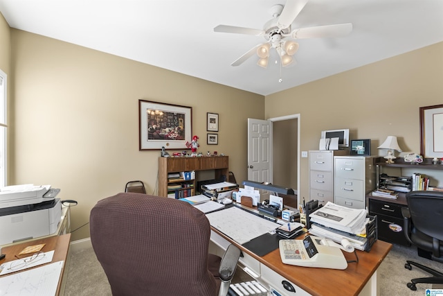 office featuring a ceiling fan and carpet flooring