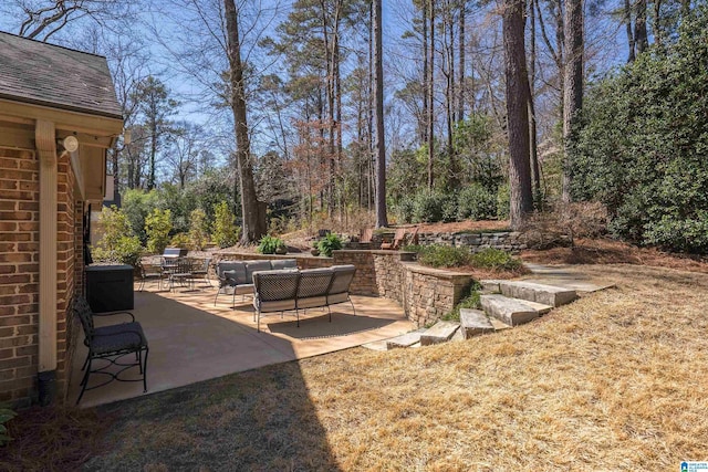 view of yard featuring a patio area and an outdoor living space