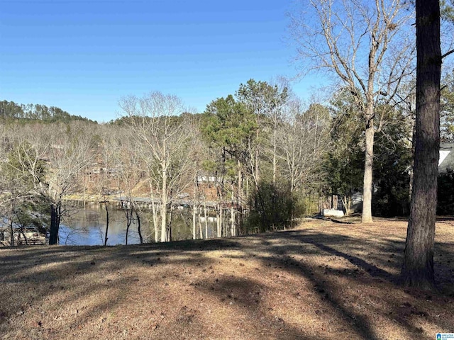 0 Ridge Dr Lot 1, Shelby AL, 35143 land for sale