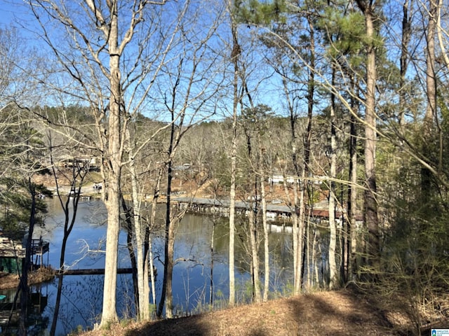 Listing photo 3 for 0 Ridge Dr Lot 1, Shelby AL 35143