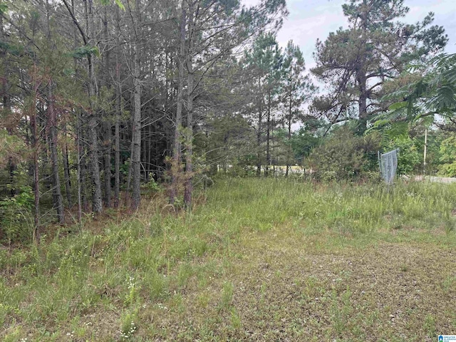 0 US Highway 43 Unit 1, Guin AL, 35563 land for sale