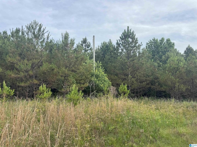 Listing photo 2 for 0 US Highway 43 Unit 1, Guin AL 35563