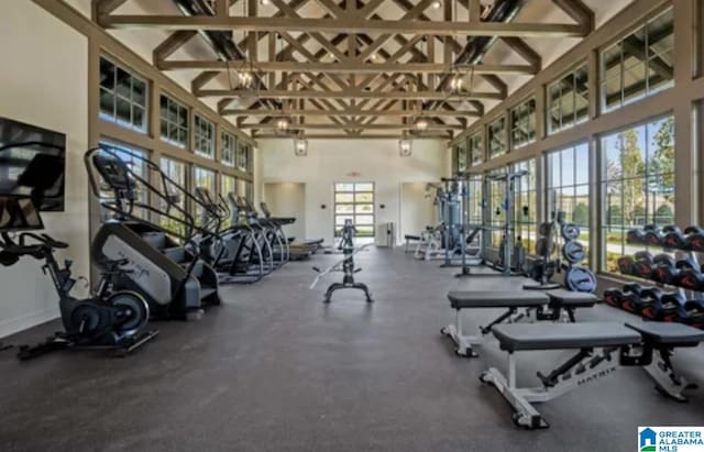 exercise room with a towering ceiling and baseboards