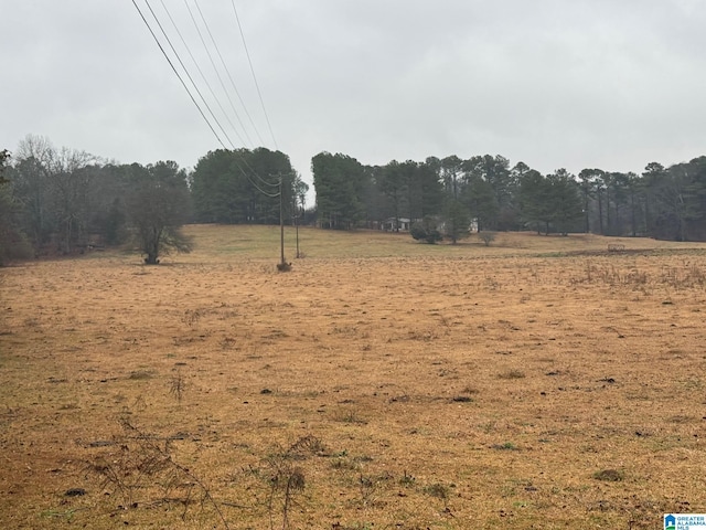 0 Logan Martin Dam Rd Unit 0, Cropwell AL, 35054 land for sale