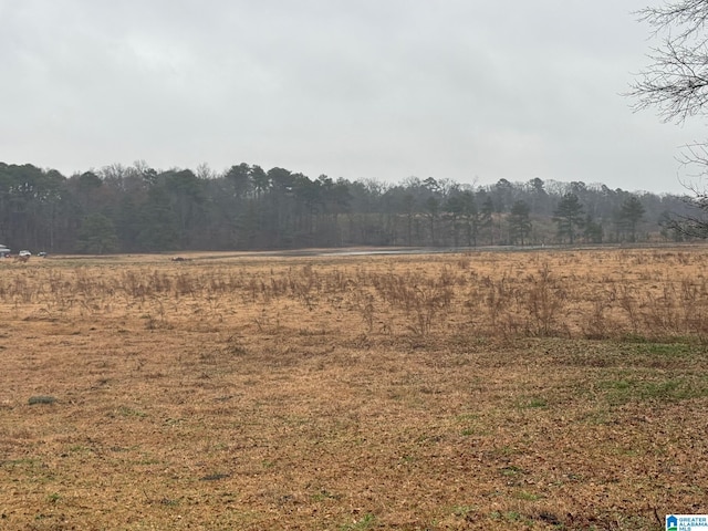 Listing photo 2 for 0 Logan Martin Dam Rd Unit 0, Cropwell AL 35054