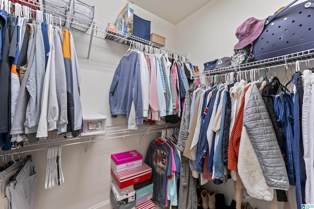 view of spacious closet