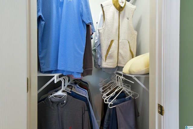 view of spacious closet