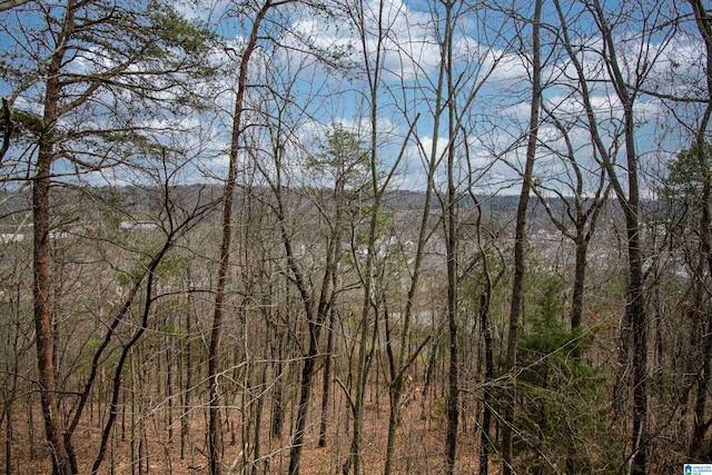 property view of mountains with a forest view