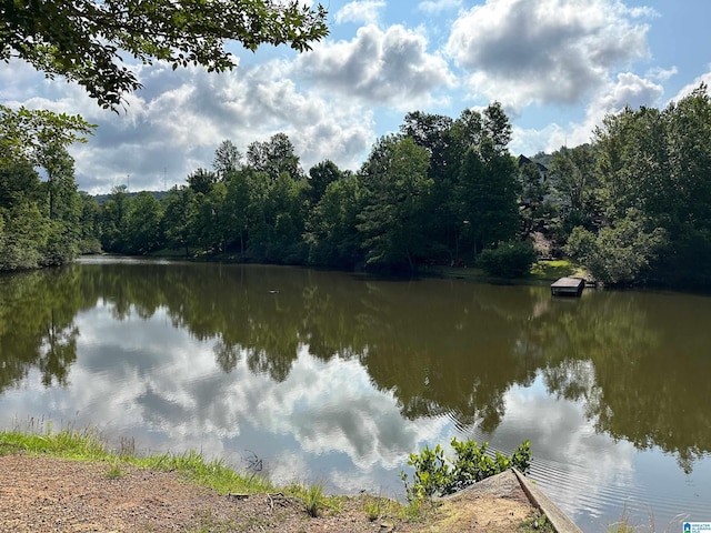 property view of water featuring a wooded view