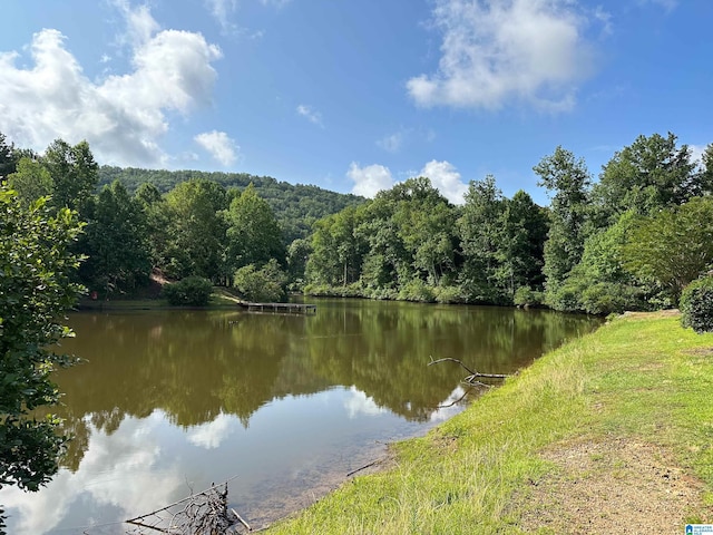 property view of water featuring a wooded view