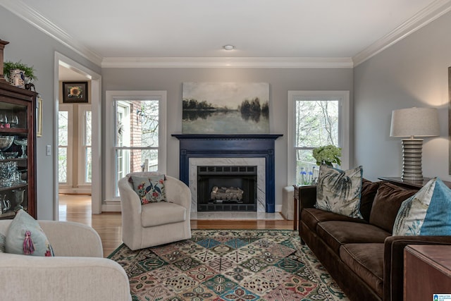 living area with ornamental molding, a fireplace, wood finished floors, and a healthy amount of sunlight