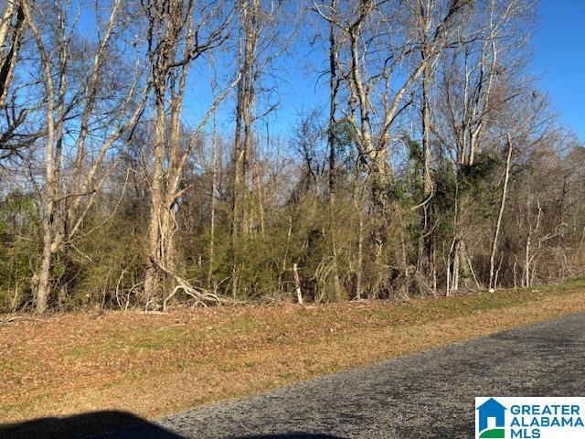 Listing photo 2 for 0 County Road 48 Unit 4, Jemison AL 35085