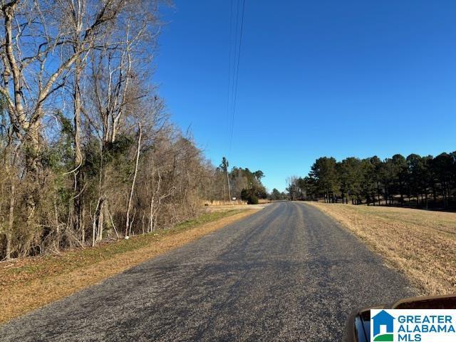 Listing photo 3 for 0 County Road 48 Unit 4, Jemison AL 35085