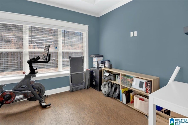 workout room featuring ornamental molding, baseboards, and wood finished floors