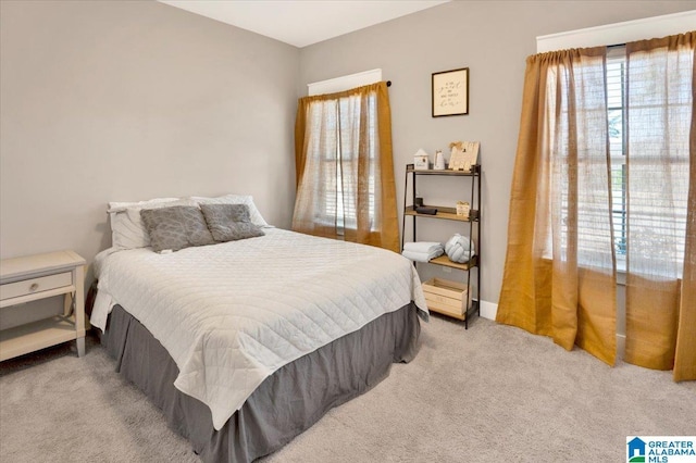 bedroom featuring carpet