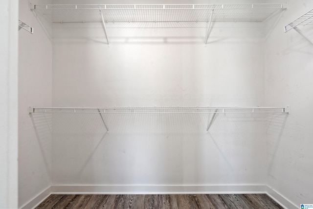 spacious closet featuring wood finished floors