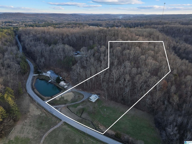 1091 Rocky Hollow Rd, Blountsville, AL 35031 - bird's eye view featuring a forest view