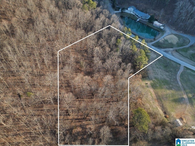 00 Rocky Hollow Rd Unit 3.00, Blountsville AL, 35031 land for sale