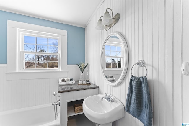 bathroom with a healthy amount of sunlight, a bathtub, a sink, and wainscoting