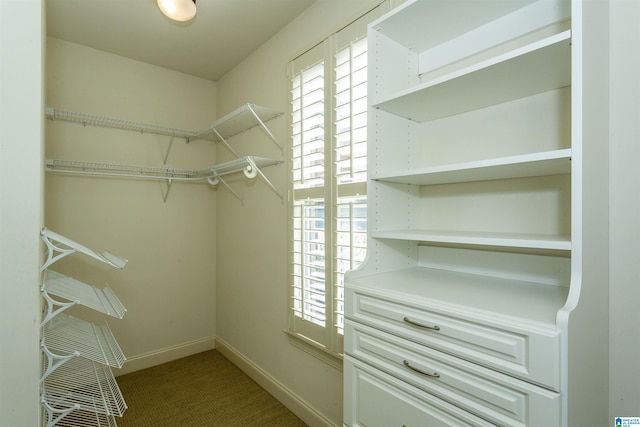 walk in closet featuring carpet flooring