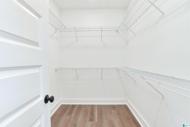 walk in closet with wood finished floors