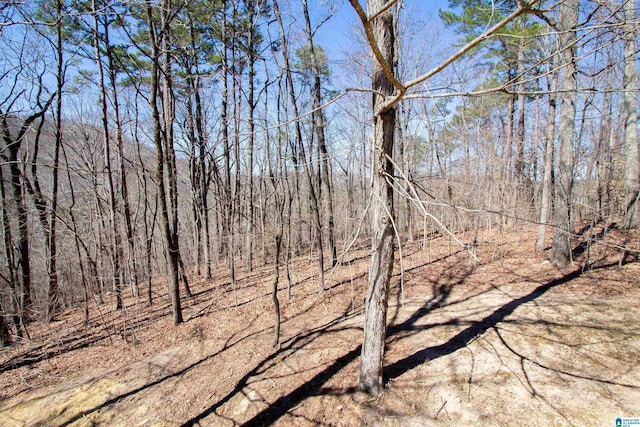 view of nature featuring a forest view