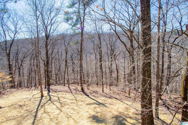 view of nature with a view of trees