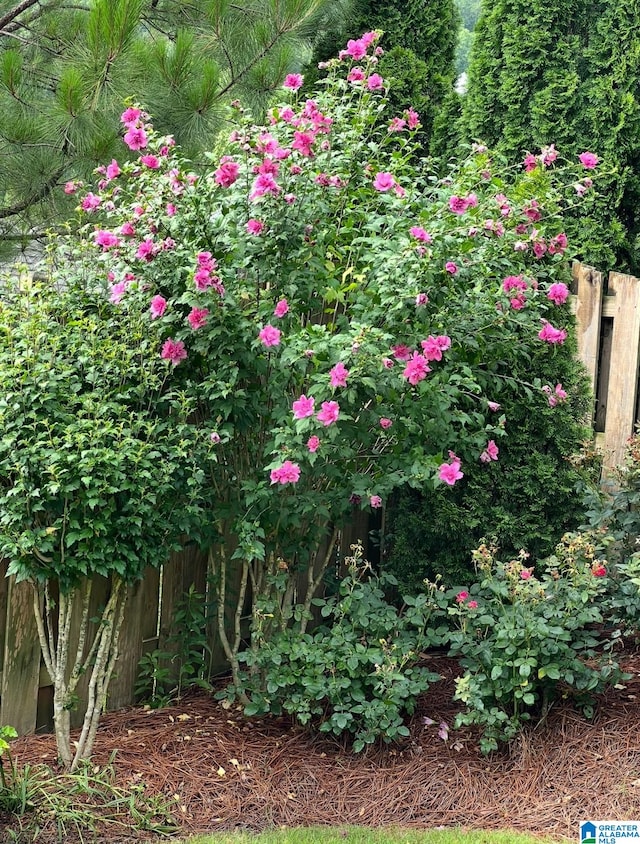 exterior details with fence