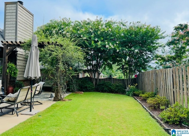 view of yard featuring a patio and a fenced backyard