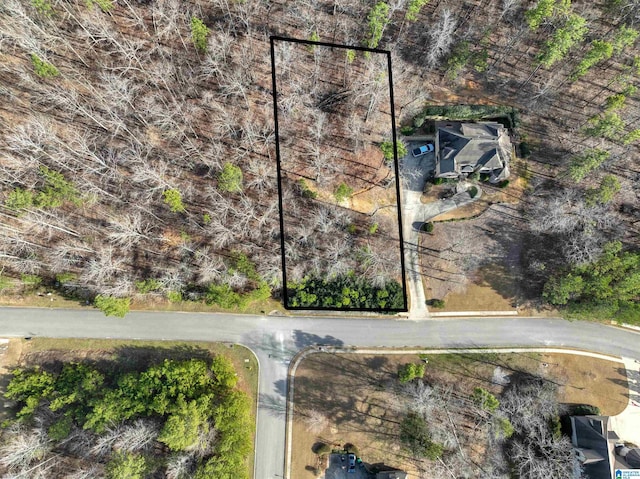 224 Normandy Ln Unit 15, Chelsea AL, 35043 land for sale