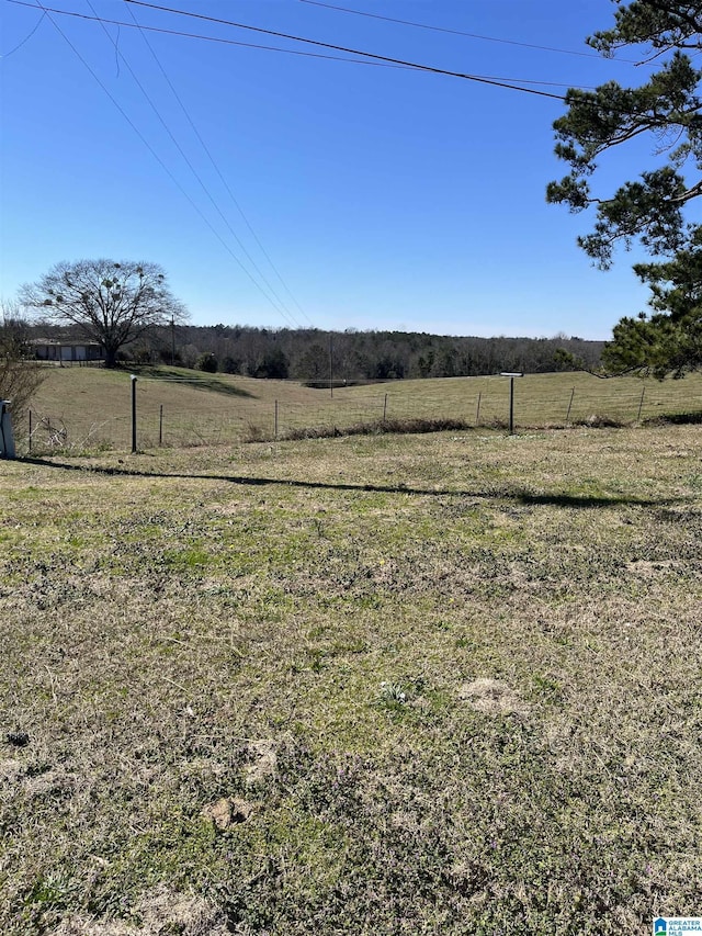 view of yard with fence and a rural view