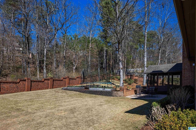 view of yard with a patio area and a trampoline