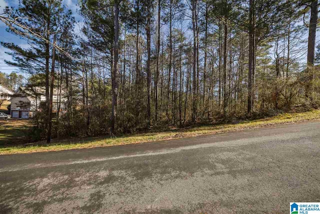 Listing photo 3 for 0 Scenic Trl Unit 1, Oneonta AL 35121