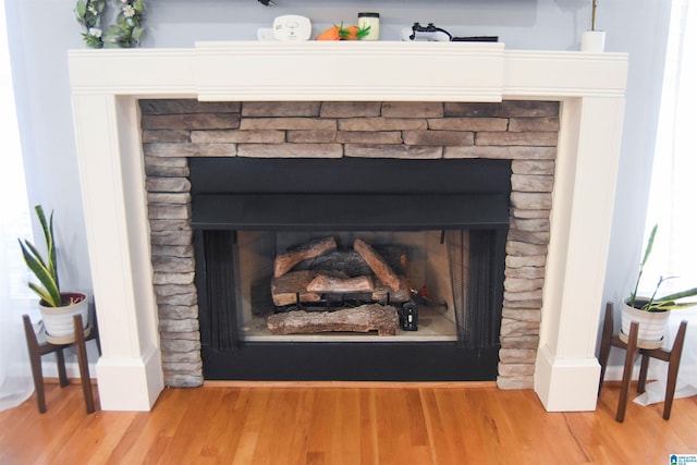 details featuring a fireplace and wood finished floors