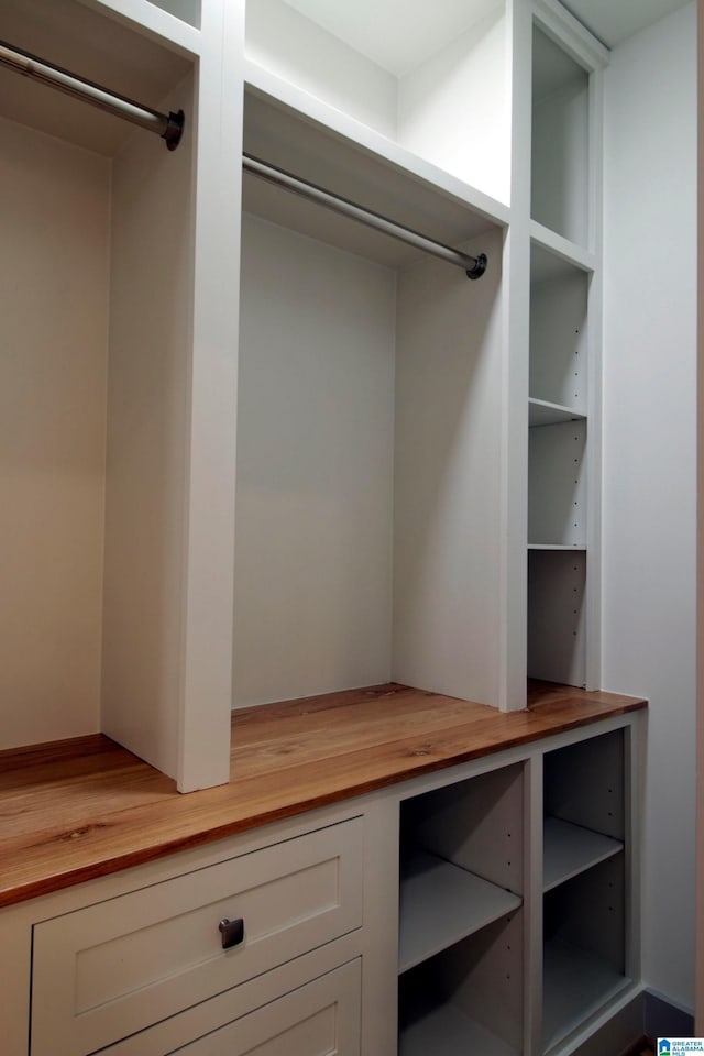 view of closet