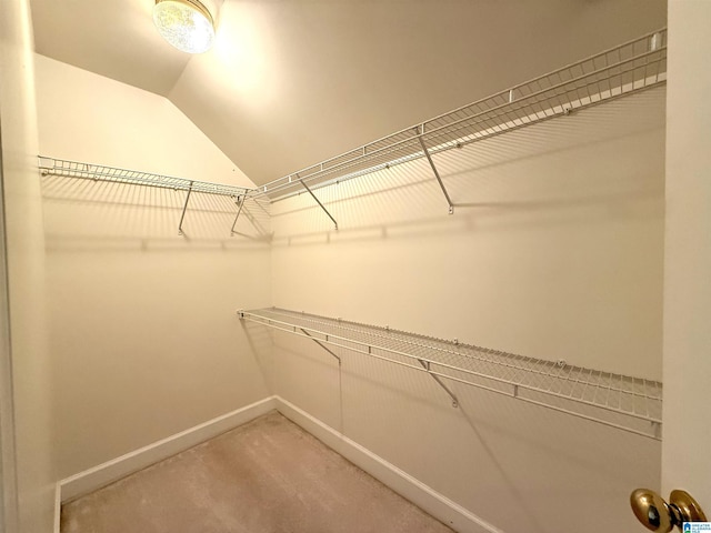 spacious closet with vaulted ceiling