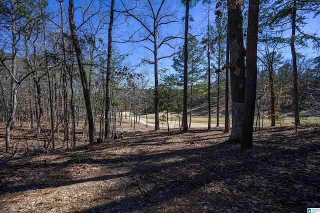 view of local wilderness featuring a forest view