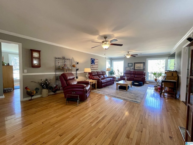 living area with baseboards, light wood-style flooring, and crown molding