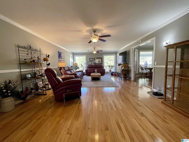 living room featuring a ceiling fan, hardwood / wood-style flooring, and crown molding