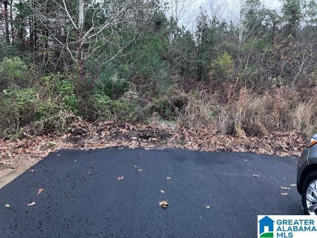 6700 White Oak Ln Unit 1, Bessemer AL, 35023 land for sale