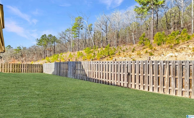 view of yard featuring a fenced backyard