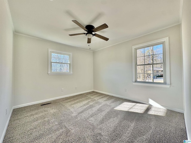 carpeted spare room with a ceiling fan, baseboards, visible vents, and crown molding