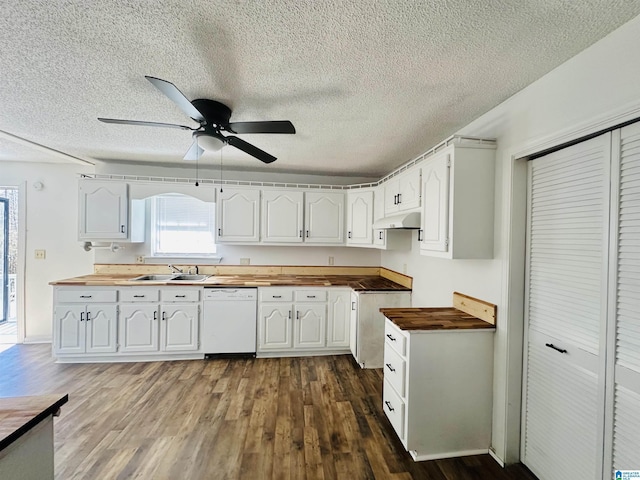 kitchen with dishwasher, butcher block countertops, a sink, and under cabinet range hood