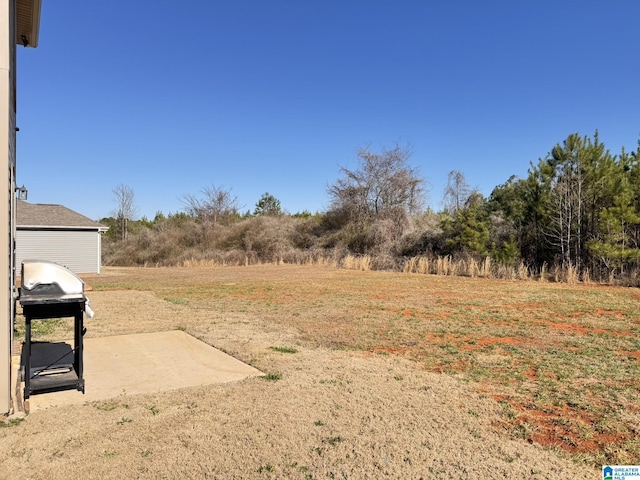 view of yard with a patio