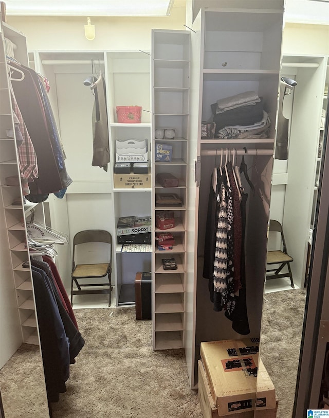 walk in closet with carpet