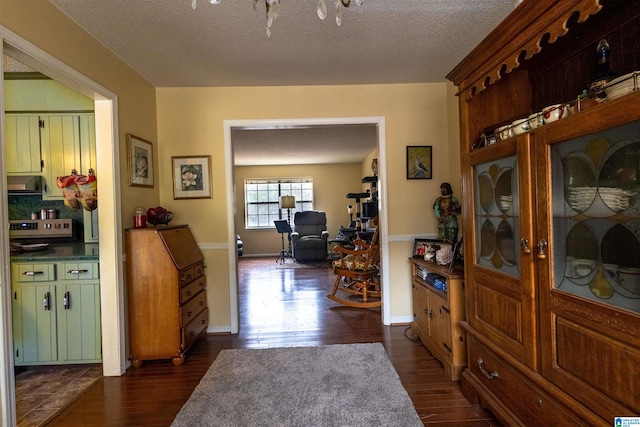 entrance foyer featuring a textured ceiling, baseboards, and dark wood-type flooring