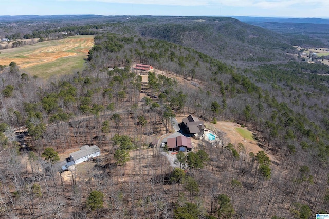 bird's eye view