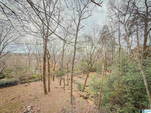 view of local wilderness with a view of trees