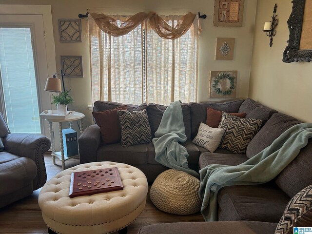 living area featuring wood finished floors