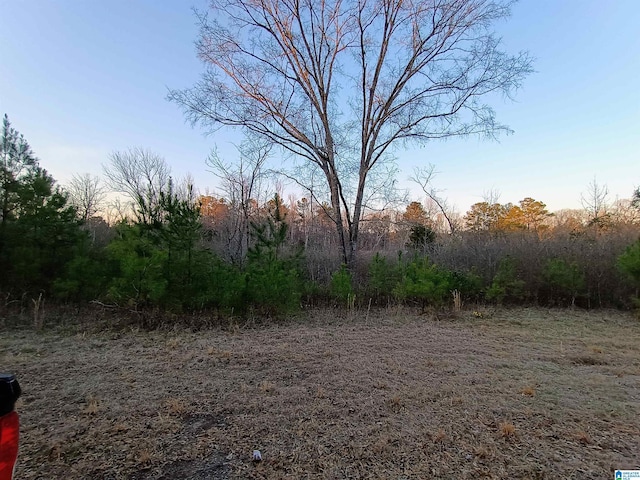 00 Comerdale Rd Unit 00, Sylacauga AL, 35150 land for sale